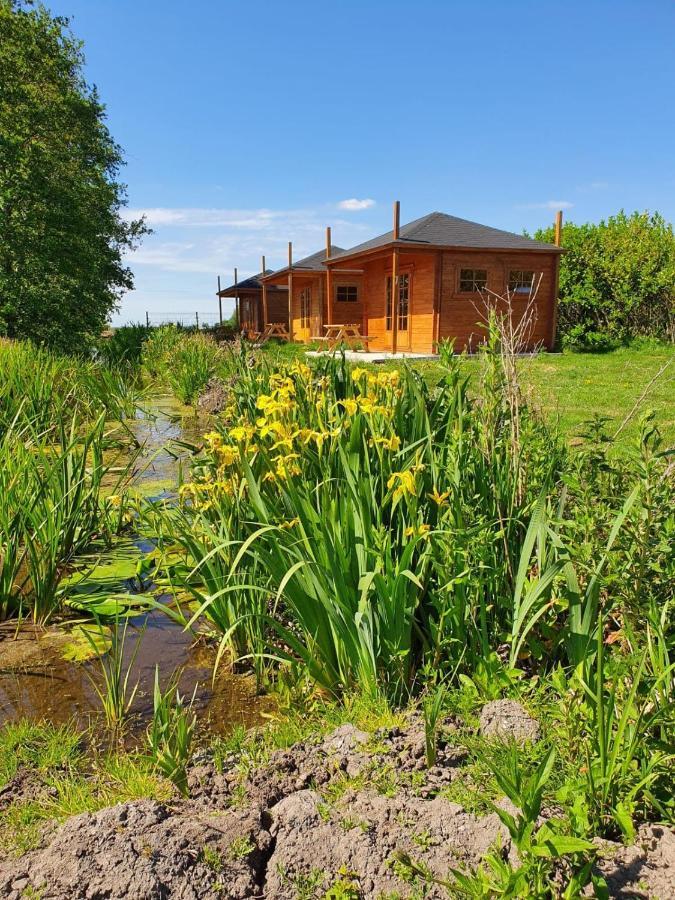 Camping De Oude Rijn Ter Aar Exteriör bild