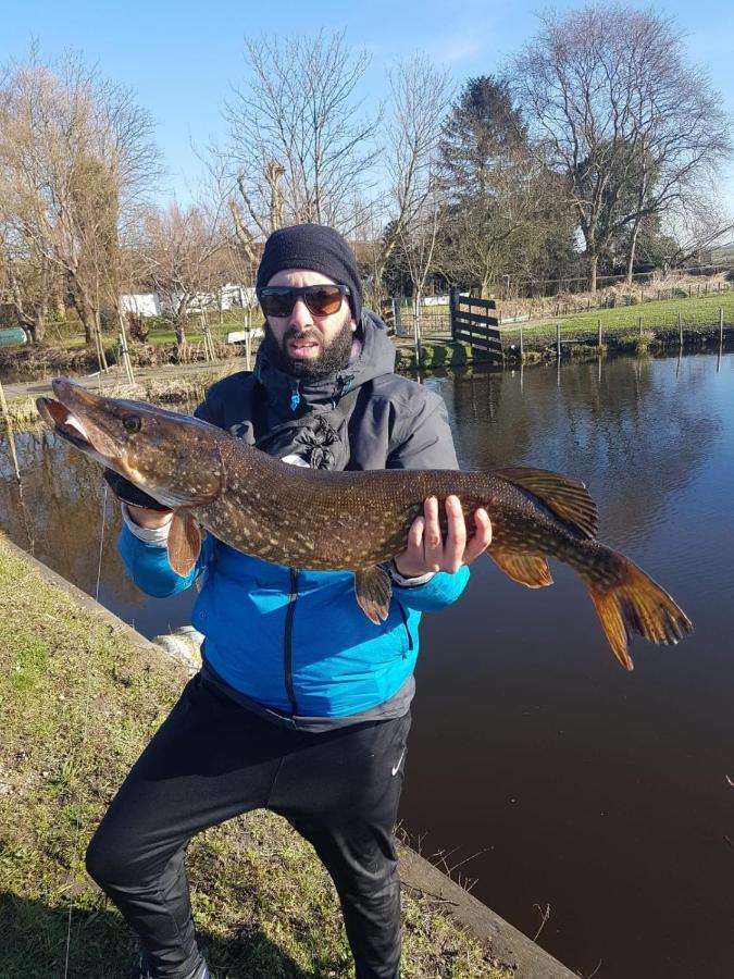 Camping De Oude Rijn Ter Aar Exteriör bild